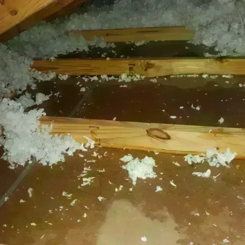 Attic Water Damage in Nauvoo, IL